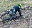(245) 9/25/2026<BR>Appalachian Trail rehabilitation<BR>on Green Pond Mountain - Continues